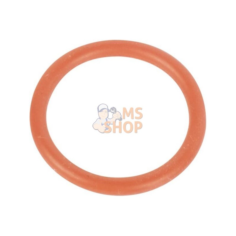 Gasket | GOLDONI Gasket | GOLDONIPR#1089841