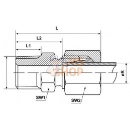 Raccord à visser mâle droit 8L R1/4 | KRAMP Raccord à visser mâle droit 8L R1/4 | KRAMPPR#650120