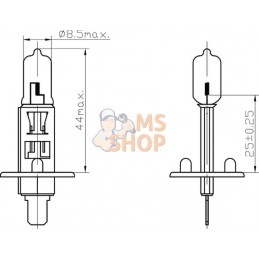 Ampoule 12V 55W H1 | KRAMP Ampoule 12V 55W H1 | KRAMPPR#775284