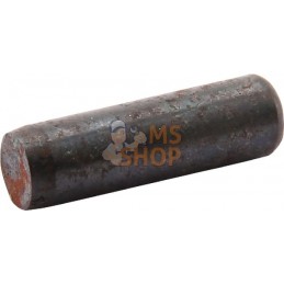 Goupille cylindrique | KRONE Goupille cylindrique | KRONEPR#484459