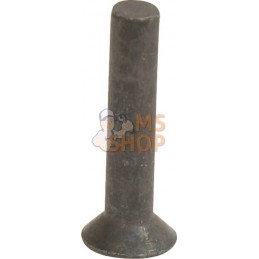 Rivet pour lame 140 mm | KVERNELAND / RAU Rivet pour lame 140 mm | KVERNELAND / RAUPR#394417