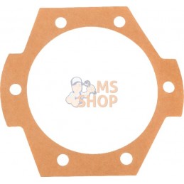 Joint 0,1 mm Maschio | MASCHIO Joint 0,1 mm Maschio | MASCHIOPR#694977