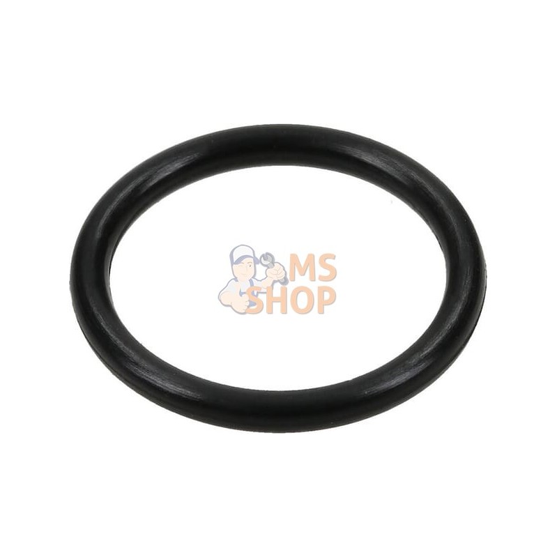 O-ring Maschio | MASCHIO O-ring Maschio | MASCHIOPR#782420