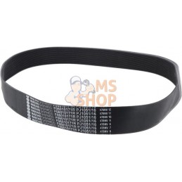 POLY-V Belt 1051 J-16 GROOVES | MASCHIO POLY-V Belt 1051 J-16 GROOVES | MASCHIOPR#782434