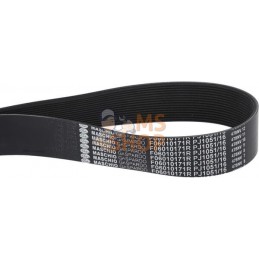 POLY-V Belt 1051 J-16 GROOVES | MASCHIO POLY-V Belt 1051 J-16 GROOVES | MASCHIOPR#782434