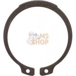 Diamètre de circlip externe 50 mm | MASCHIO Diamètre de circlip externe 50 mm | MASCHIOPR#482051