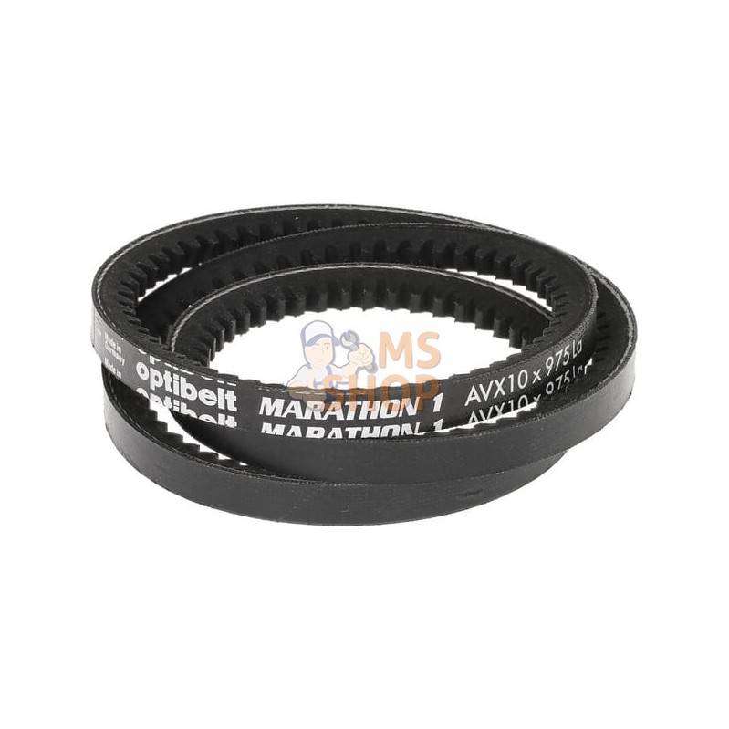 Courroie optibelt avx10-m1 l=97 | LOMBARDINI Courroie optibelt avx10-m1 l=97 | LOMBARDINIPR#754771