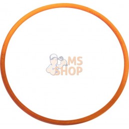 Gasket, cylinder head | LOMBARDINI Gasket, cylinder head | LOMBARDINIPR#1078911