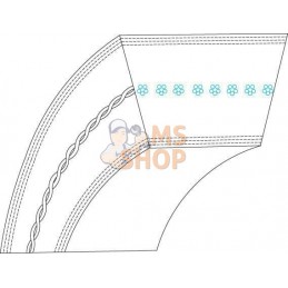 Courroie trapézoïdale Optibelt avx10-m1 l=835 | LOMBARDINI Courroie trapézoïdale Optibelt avx10-m1 l=835 | LOMBARDINIPR#754778