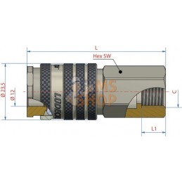 Raccord rapide f.fem. BSP 1/2" | LÜDECKE Raccord rapide f.fem. BSP 1/2" | LÜDECKEPR#780334