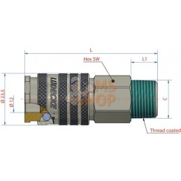 Raccord rapide f.mâle BSP 1/2" | LÜDECKE Raccord rapide f.mâle BSP 1/2" | LÜDECKEPR#780333