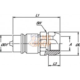 Coupleur mâle 3/8-3/8" BSP | STAUFF Coupleur mâle 3/8-3/8" BSP | STAUFFPR#772777