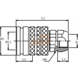 Coupleur femelle 3/8-3/8 BSP | STAUFF Coupleur femelle 3/8-3/8 BSP | STAUFFPR#772769