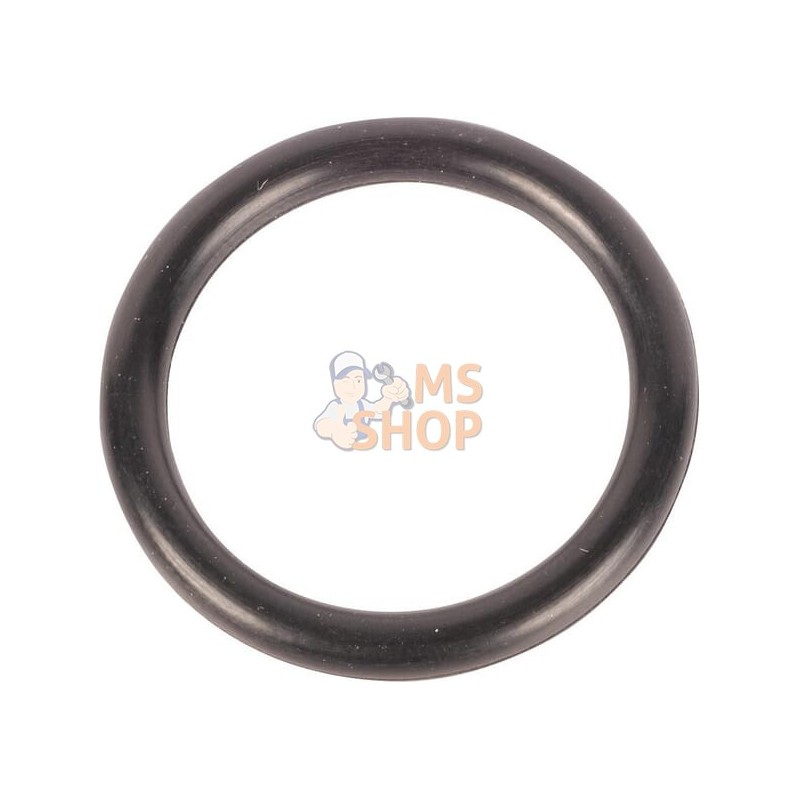 O-ring | SPICER DANA O-ring | SPICER DANAPR#1076542