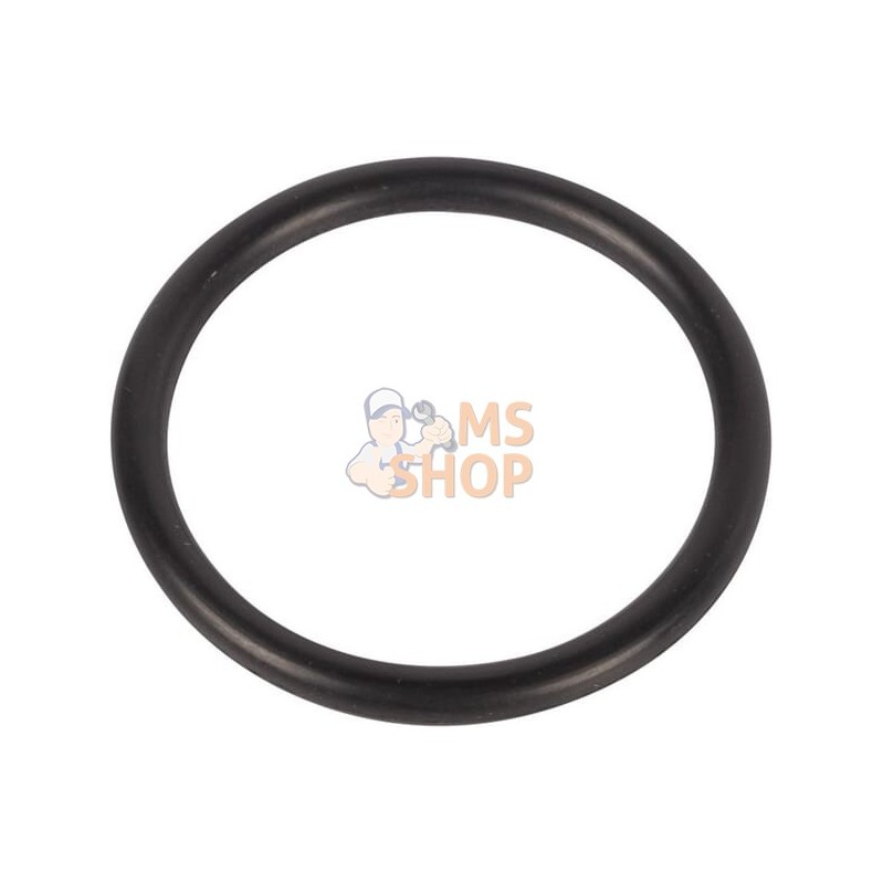 O-ring | SPICER DANA O-ring | SPICER DANAPR#1076456