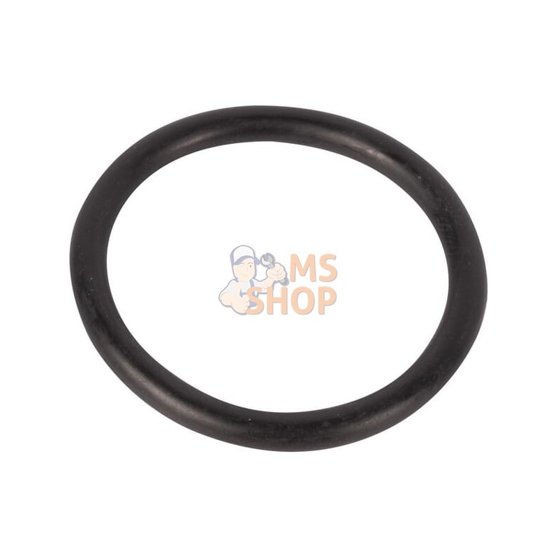 O-ring | SPICER DANA O-ring | SPICER DANAPR#1076532