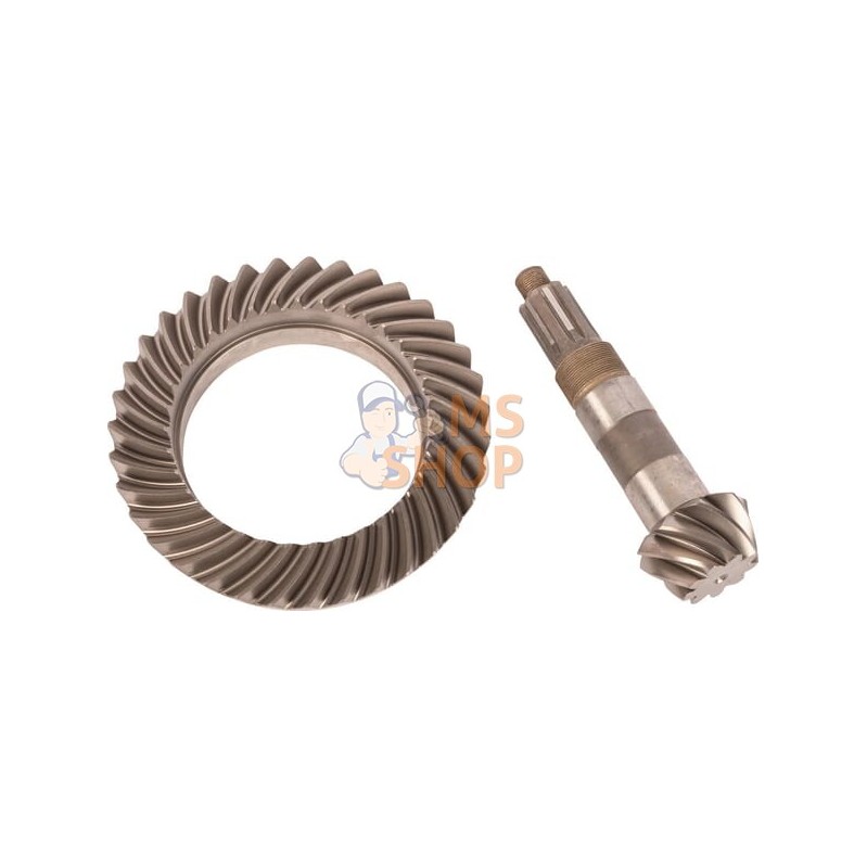 Bevel gear | SPICER DANA Bevel gear | SPICER DANAPR#1076529