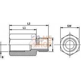 Adaptateur de rallonge BSP 1/2 L1=45 | UNBRANDED Adaptateur de rallonge BSP 1/2 L1=45 | UNBRANDEDPR#653699