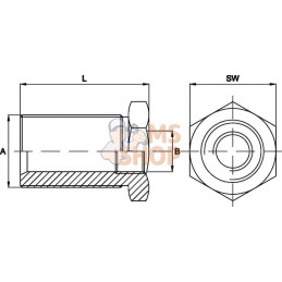 Adaptateur de rallonge BSP 3/8 - 1/4 | UNBRANDED Adaptateur de rallonge BSP 3/8 - 1/4 | UNBRANDEDPR#909887