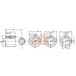 Mâchoire avec moyeu D=25 Cale 8mm M8 45º | WELTE Mâchoire avec moyeu D=25 Cale 8mm M8 45º | WELTEPR#897393