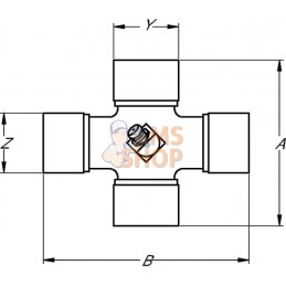 Croisillon Ø 36x89,0 mm / Ø 32x106,0 mm, série 2580, Walterscheid | WALTERSCHEID Croisillon Ø 36x89,0 mm / Ø 32x106,0 mm, série 