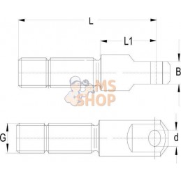 Embout de bielle v. ASST-B L=116 | WALTERSCHEID Embout de bielle v. ASST-B L=116 | WALTERSCHEIDPR#754069