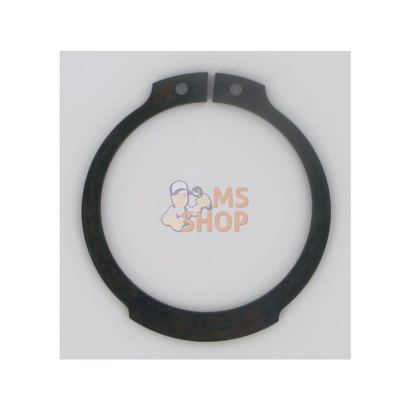 Circlips Taarup | VICON Circlips Taarup | VICONPR#614798