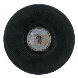 Plateau Roloc dur Ø76,2 mm - 1/4" | 3M Plateau Roloc dur Ø76,2 mm - 1/4" | 3MPR#445384