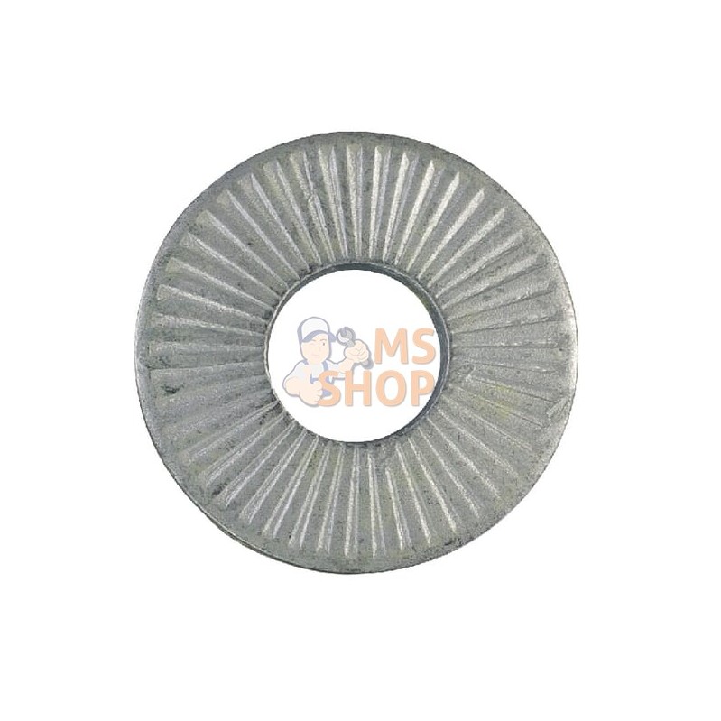 Disc (2) | AS-MOTOR Disc (2) | AS-MOTORPR#159161