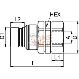 Coupl.m.3/8 Tema Viton | PARKER Coupl.m.3/8 Tema Viton | PARKERPR#786213