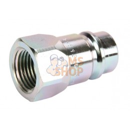 Coupleur mâle FORD 1/2" NPT | FASTER Coupleur mâle FORD 1/2" NPT | FASTERPR#781178