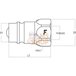 Coupleur mâle FORD 1/2" NPT | FASTER Coupleur mâle FORD 1/2" NPT | FASTERPR#781178