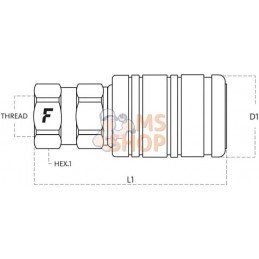 Coupleur 1/2 BSP | FASTER Coupleur 1/2 BSP | FASTERPR#781198