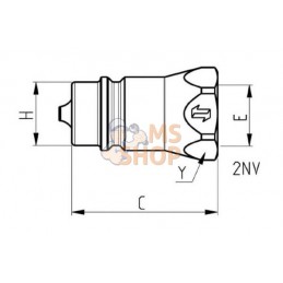 Coupleur mâle 1/2 BSP | FASTER Coupleur mâle 1/2 BSP | FASTERPR#781179