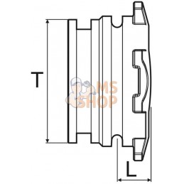 Cheville T4 34 mm | ARAG Cheville T4 34 mm | ARAGPR#608888