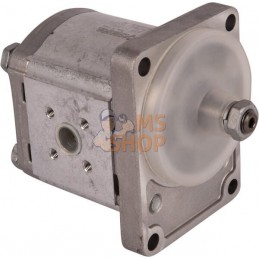 Pompe hydraulique AP200/11S.225 | GOLDONI Pompe hydraulique AP200/11S.225 | GOLDONIPR#921483