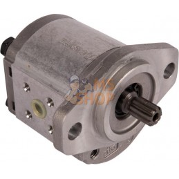 Pompe hydraulique 10-5 | GOLDONI Pompe hydraulique 10-5 | GOLDONIPR#921463