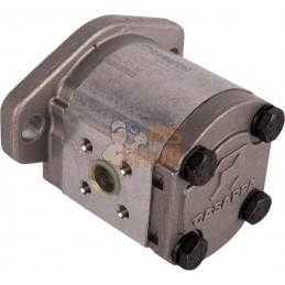 Pompe hydraulique 10-5 | GOLDONI Pompe hydraulique 10-5 | GOLDONIPR#921463