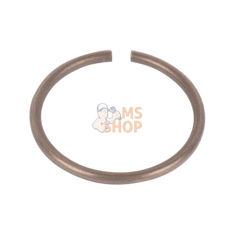 Ring | CNH Ring | CNHPR#1077504