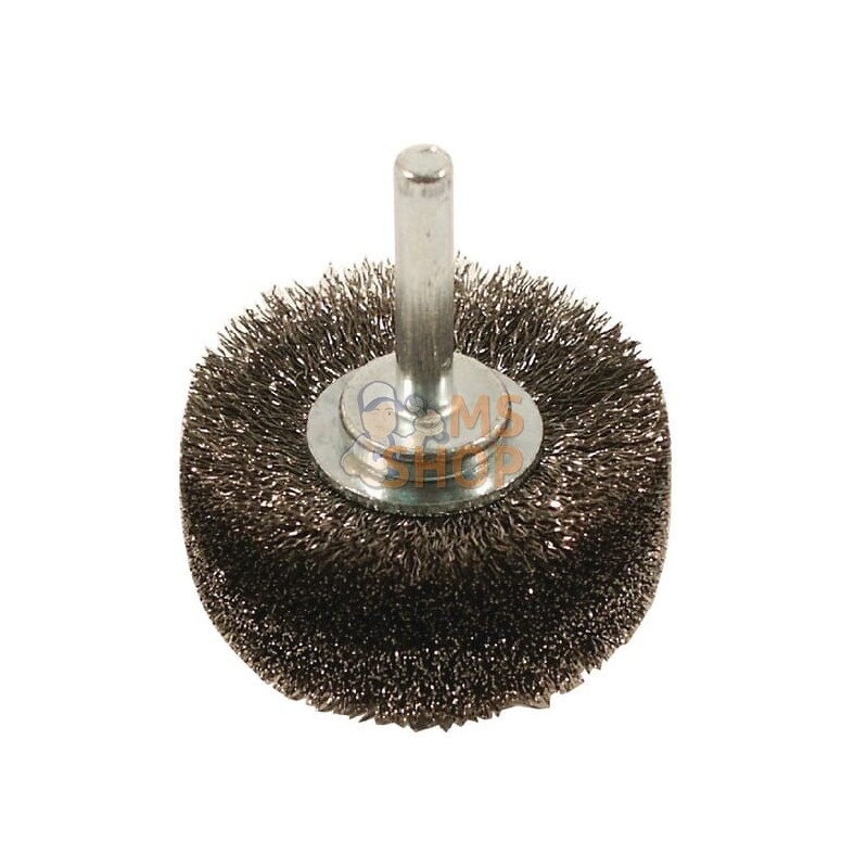 Brosse fil d’acier 40x10, 6 mm | REMA TIP TOP Brosse fil d’acier 40x10, 6 mm | REMA TIP TOPPR#814394