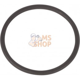 Gasket | ZF Gasket | ZFPR#1072582