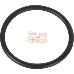 Gasket | ZF Gasket | ZFPR#1072587