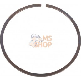 Snap ring | SPICER DANA Snap ring | SPICER DANAPR#1076449