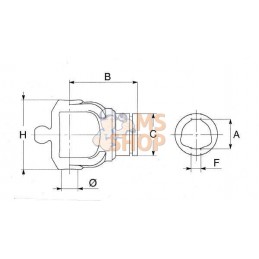 Mâchoire pour Tube WW 80° | BONDIOLI&PAVESI Mâchoire pour Tube WW 80° | BONDIOLI&PAVESIPR#584287