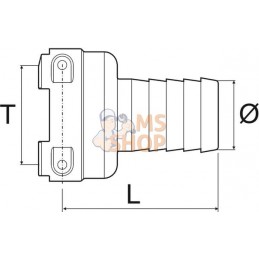 Embout de tuyau T6 Fx38mm | ARAG Embout de tuyau T6 Fx38mm | ARAGPR#609367