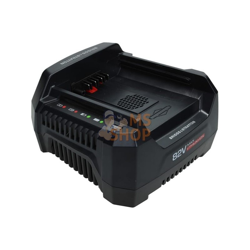 Chargeur batterie 220 V B&S | BRIGGS & STRATTON Chargeur batterie 220 V B&S | BRIGGS & STRATTONPR#405140