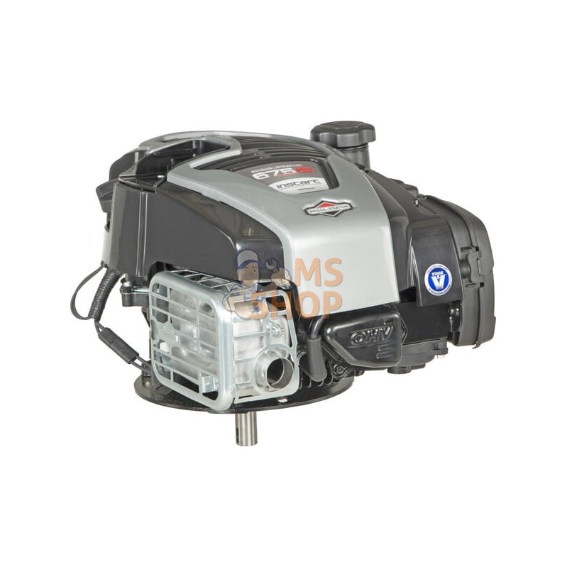 Moteur | BRIGGS & STRATTON Moteur | BRIGGS & STRATTONPR#1035154