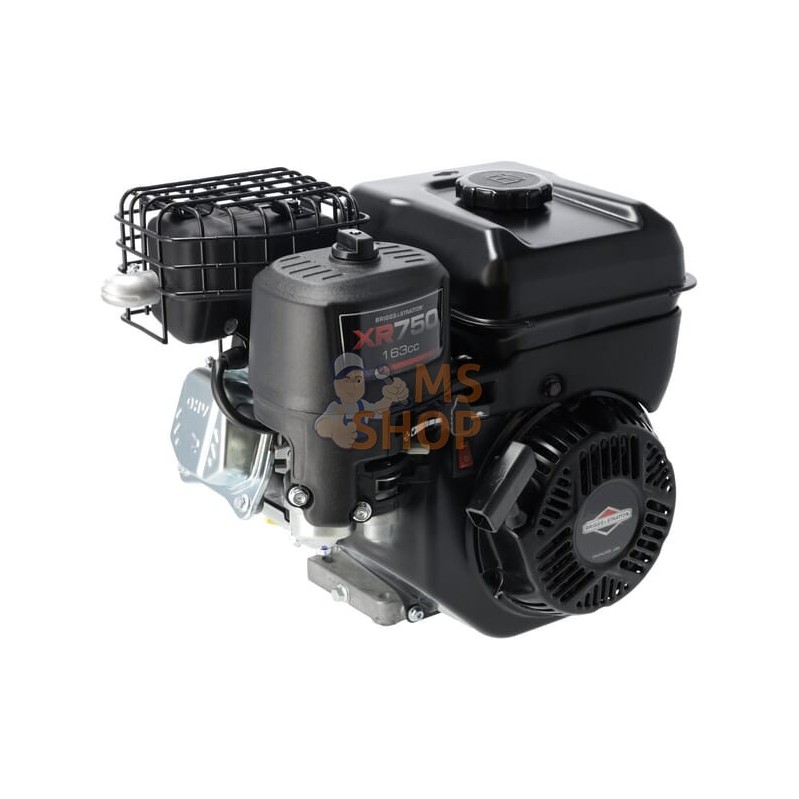 Moteur, horizontal | BRIGGS & STRATTON Moteur, horizontal | BRIGGS & STRATTONPR#1123317