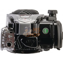 Moteur vertical, 3,9 HP, monocylindre, série 575EX, Briggs & Stratton | BRIGGS & STRATTON Moteur vertical, 3,9 HP, monocylindre,