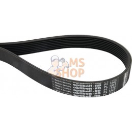 Courroie nervurée 8 nervures 8PL1613 Optibelt | OPTIBELT Courroie nervurée 8 nervures 8PL1613 Optibelt | OPTIBELTPR#826709